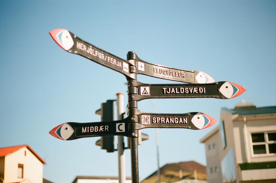roadsigns in iceland with puffins