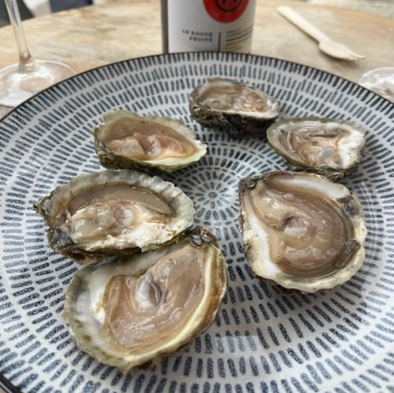 Belon oysters