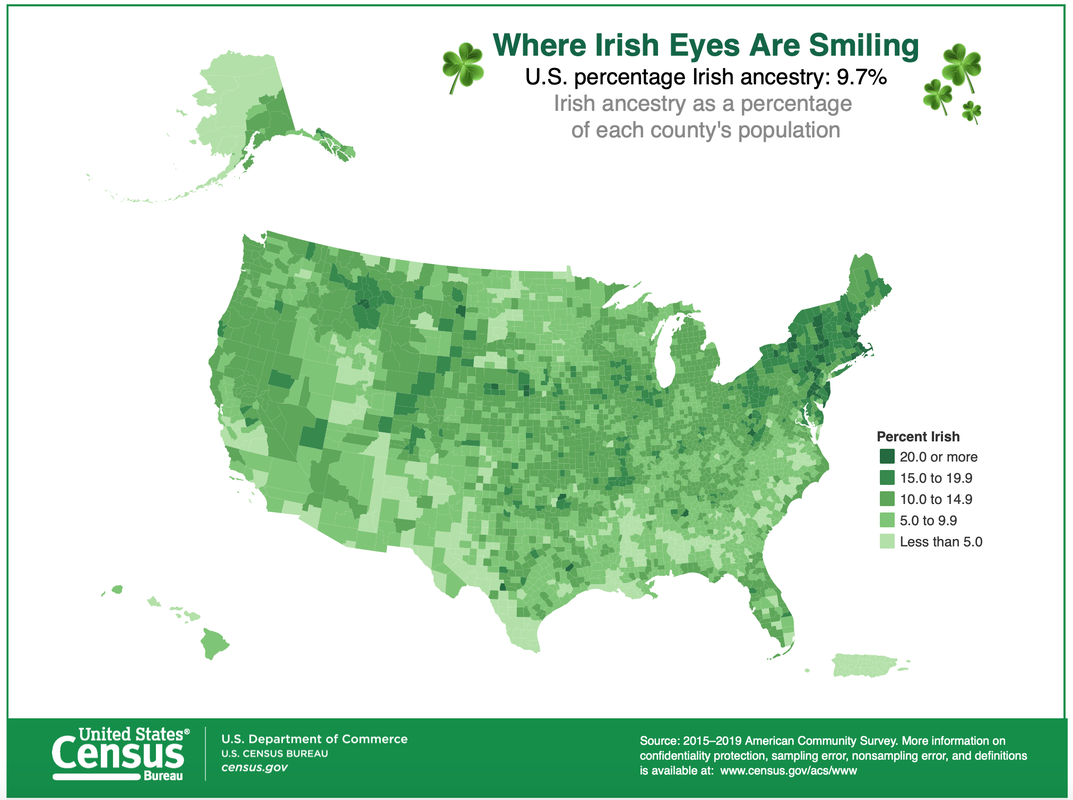 Irish in USA